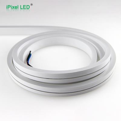 China LANDSCAPE iPixel new 24V RGBW ledgor led wired neon strip light for sale