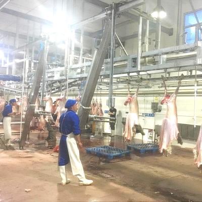 China Industrial Sheep Lamb Meat Slaughterhouse For Ovine Slaughtering Line Sheep Capacity 6 Tons / Day for sale