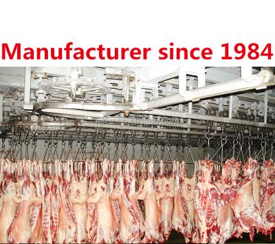 China Free preview available! ! ! slaughterhouse carcass hanging slaughtering hooks for sale