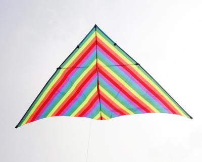 China Weifang Delta Shape Nylon Promotional Kites Outdoor Toys Gift for sale