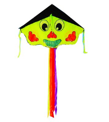 China Nylon Wholesale Sport Face Delta Smile Kite For Kids for sale