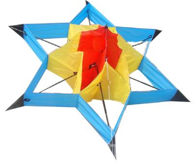 China 3D Kite Gift Nylon Kites For Kids Flower Kites Flying Toys for sale