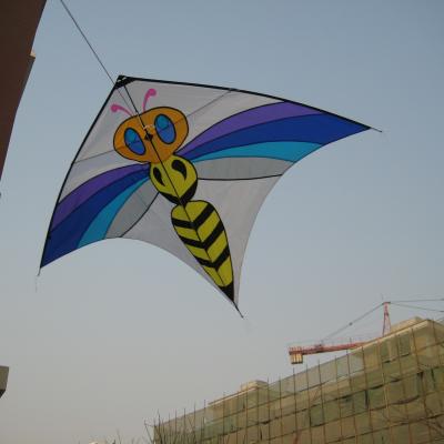 China new outdoor toy eagle nylon kites for kids kites china kite chinese factory for sale