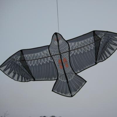 China new outdoor toy eagle nylon kites for kids kites china kite chinese factory for sale