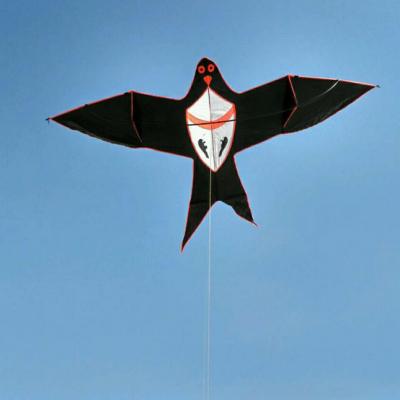 China Nylon Kites Flying Kites Kids Cartoon Toys Gift Outdoor Bird Kites for sale