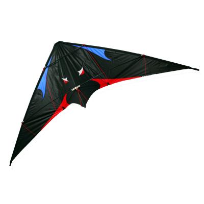 China 2021 Polyester BLUE 2 Line Kites For Kids for sale