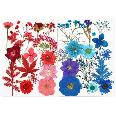 China Any combination Factory Supply Diy Frame Material Mixed Natural Dried Pressed Flower Flora Package For Resin Nail Makeup Decoration Handmade for sale