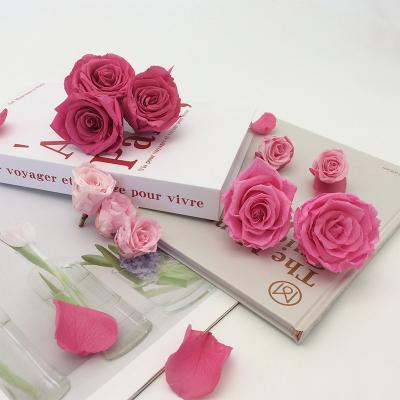 China Any combination Eternal Life Flower Material Gift Box Immortal Rose Flower Dried Rose Artificial Preserved Flowers Head Roses for sale