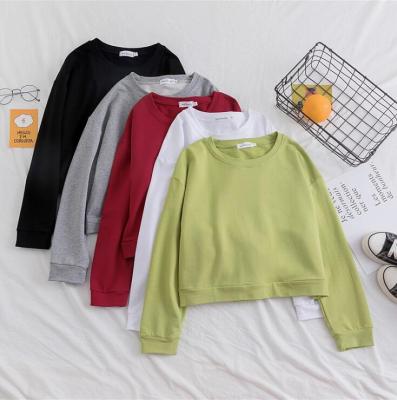 China 2020 Winter Women QUICK DRY Thick Warm Sweaters And Pullovers Knit Long Sleeve Sweater Jumper Tops for sale