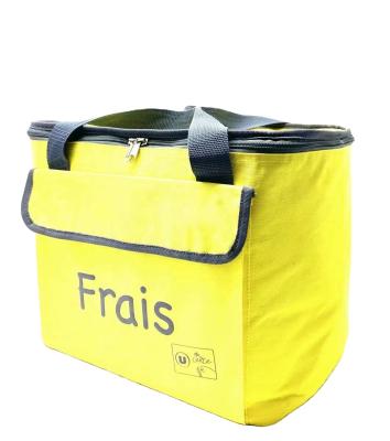 China LARGE FOOD THERMO DELIVERY Waterproof COOLER BAG INSULATED COOLER BAG for sale