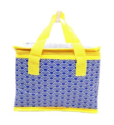 China Waterproof RPET WOVEN COOLER BAG PP WOVEN COOLER BAG INSULATED COOLER BAGS 6CAN for sale