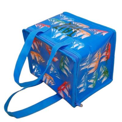 China Canalolo Waterproof Hot Sale Food Delivery Cooler Bag Thermo Bag Recycled RPET PP Woven Cooler Bag for sale