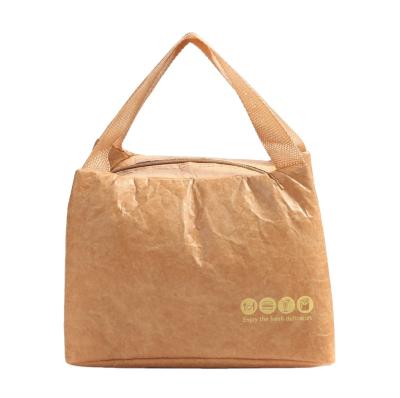 China Waterproof CANALOLO BEACH THERMO CUSTOM INSULATED Kraft PAPER WASHABLE COOLER BAG for sale