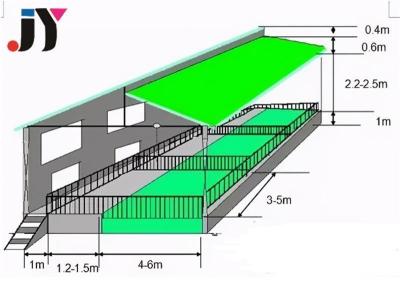 China Strength Steel Chicken House Poultry Farm Building in Design with After-sales Service for sale