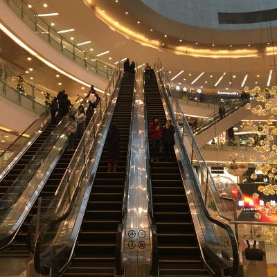 China Contemporary Qualified VVVF Drive Indoor Home Escalator Cost for sale