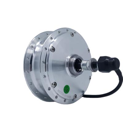 China Two Series 24V, 36V, 48V Electric Bicycle Motor/E-bike Rear Brushless Spoke Wheel Hub Motor High Speed for sale