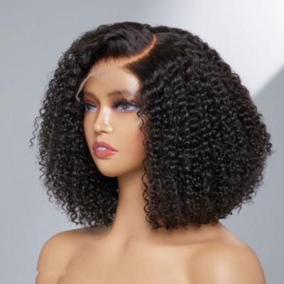 China Other Lace Front Wig, 100% Real Virgin Remy Hair Wig, GLBrazilian Human Hair Short Bob Wig Brazilian Natural Water Wave for sale