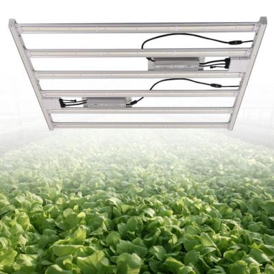 China Seed Starting Full Spectrum Grow Lights Hydroponic Horticulture Led Grow Light For Greenhouse for sale