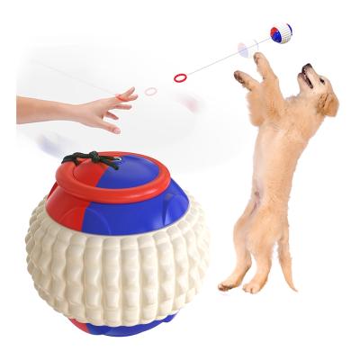 China Popular Training Dog Ball On Product Viable Hot Selling Best Quality With Rope Dog Toys Balls Interactive for sale