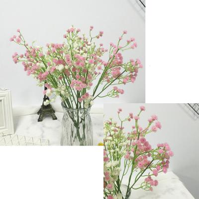 China Exclusively Wholesale Multi Color Wedding Home Decoration Natural Baby's Breath Flowers for sale