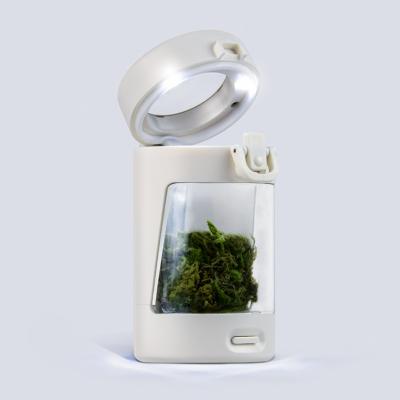 China Herb Stash Container Glass Jar LED Cover Ignition Glass Air Tight Transparent Storage Viewing Magnifying Jar with USB Charger for sale