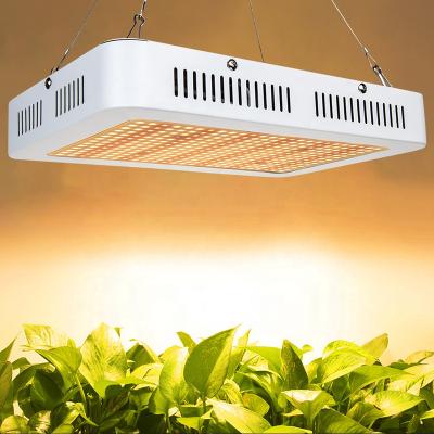 China Seed starting Samsung lm301b lm301h full spectrum led grow light 1000W for indoor plants for sale