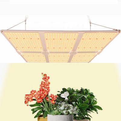 China Seed Starting 600w Spider Samsung LM301B LM301H Full Spectrum LED Grow Lights 1000W Hydroponic For Indoor Plants for sale