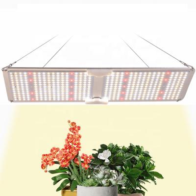 China Seed Starting 220W Spider SF-2000 LED Grow Light , Samsung LM301B lm301h For Indoor Plants for sale