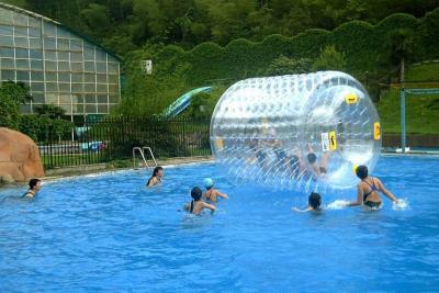 China Heat Sealed Transparent Inflatable Water Toys 0.8mm / 1.0mm Thick for sale