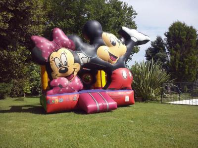 China Durable Outdoor PVC Coated Mickey Mouse Bounce House For Children for sale