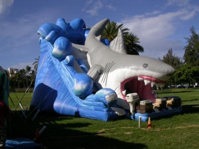 China Single Lane Inflatable Swimming Pool Slides , Inflatable Bounce Slide for sale