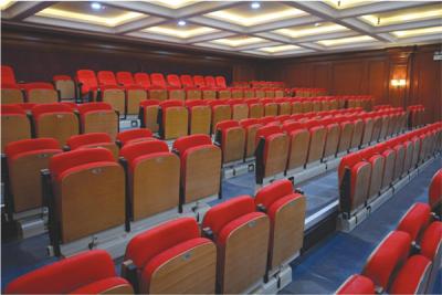 China La subida montó los blanqueadores de madera retractables/conferencia Hall Telescopic Seating Systems en venta