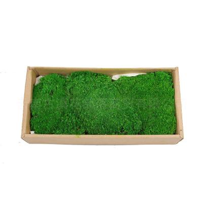 China 2022 Dry Flower Amazon Success Preserved White Hair Moss For Home Wedding Wall Decoration for sale