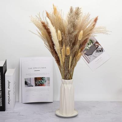 China Natural Touch Amazon Top Sale Dried Flower High Quality Colorful Natural Small Pampas Grass For Decoration for sale