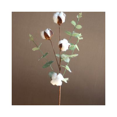 China Hot sale eucalyptus leaf cotton branch 4 head dry cotton flower simulation dry bouquet for sale