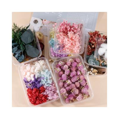 China Dried Flowers Boxed Mixed Dried Flower Candles Aromatherapy Diy Crafts for sale