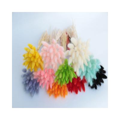 China 30 Rabbit Tail Hot Grass Bunch Dried Flowers Dried Flowers Artificial Flowers for sale