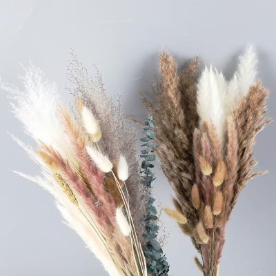 China Natural Touch Customized BunnyTail Natural Thatch Dried Pampas Grass Flower Bouquet For Home Decoration for sale