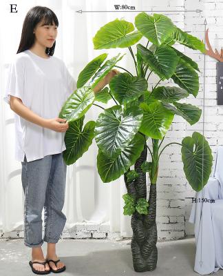 China Cheap Price Contemporary Artificial Plant Artificial Tree With Big Plastic Leaves For Hotel Office Home Decoration for sale