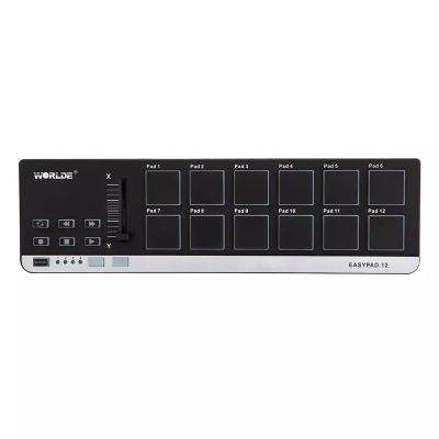 China Mini Digital Sound Equipment Musical Instrument MIDI Controller Keyboard Piano 12 Keys Usb For Music Production for sale