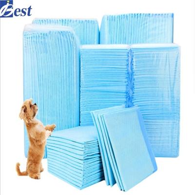 China Stocked Training Puppy Pad 40cm*60cm Pet Pee Pads Pet Products for sale