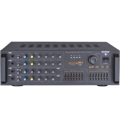 China Hot Indonesian Sound System Mixer Equalizer Mni Guitar Tube Power Market Amplifier Stereo Equalizer CX-3000 for sale