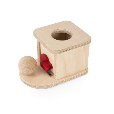 China Montessori Permanence Box with Wooden Lock Educational Wooden Toys HYO-1044 for sale