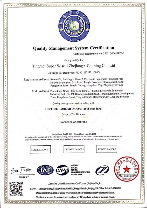 ISO9001 - Tingmei Super Wise (zhejiang) Clothing Co.,ltd.