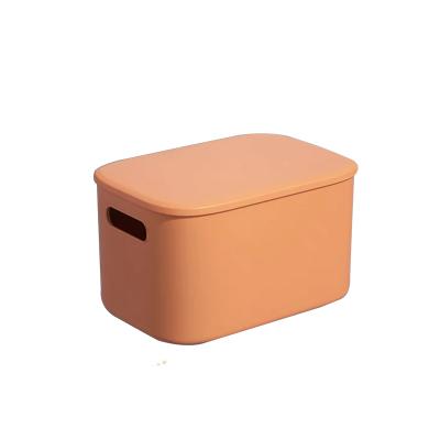 China Factory direct sale large capacity double-sided color pp material multifunctional storage box for living room snack storage for sale