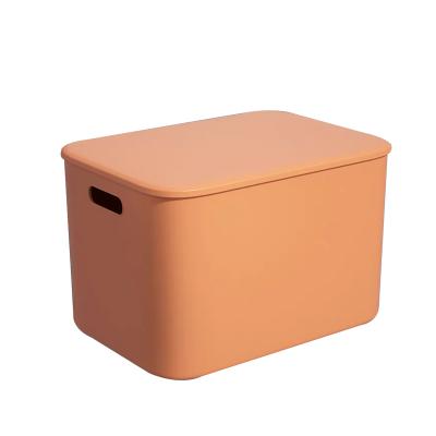 China Double-sided manufacturer wholesale high quality color plastic container storage box for sale