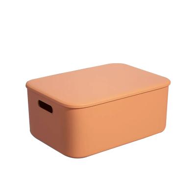 China Custom Double Sided Color Kitchen Bathroom Large Capacity Toy Container Storage Box Multifunctional for sale