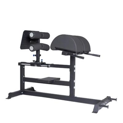 China GHD Indoor Glute Ham Developer Bench with Guide Rail for sale