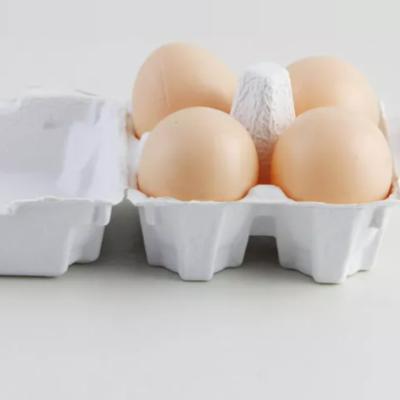 China Viable 6 Cell Egg Carton Pulp Egg High Quality Recyclable Paper Holder for sale