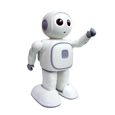 China Toy Reeman New AI Educational Toy Interactive Robot for Children Education Toy Robot Kids Programable Educational Robot Humanoid for sale